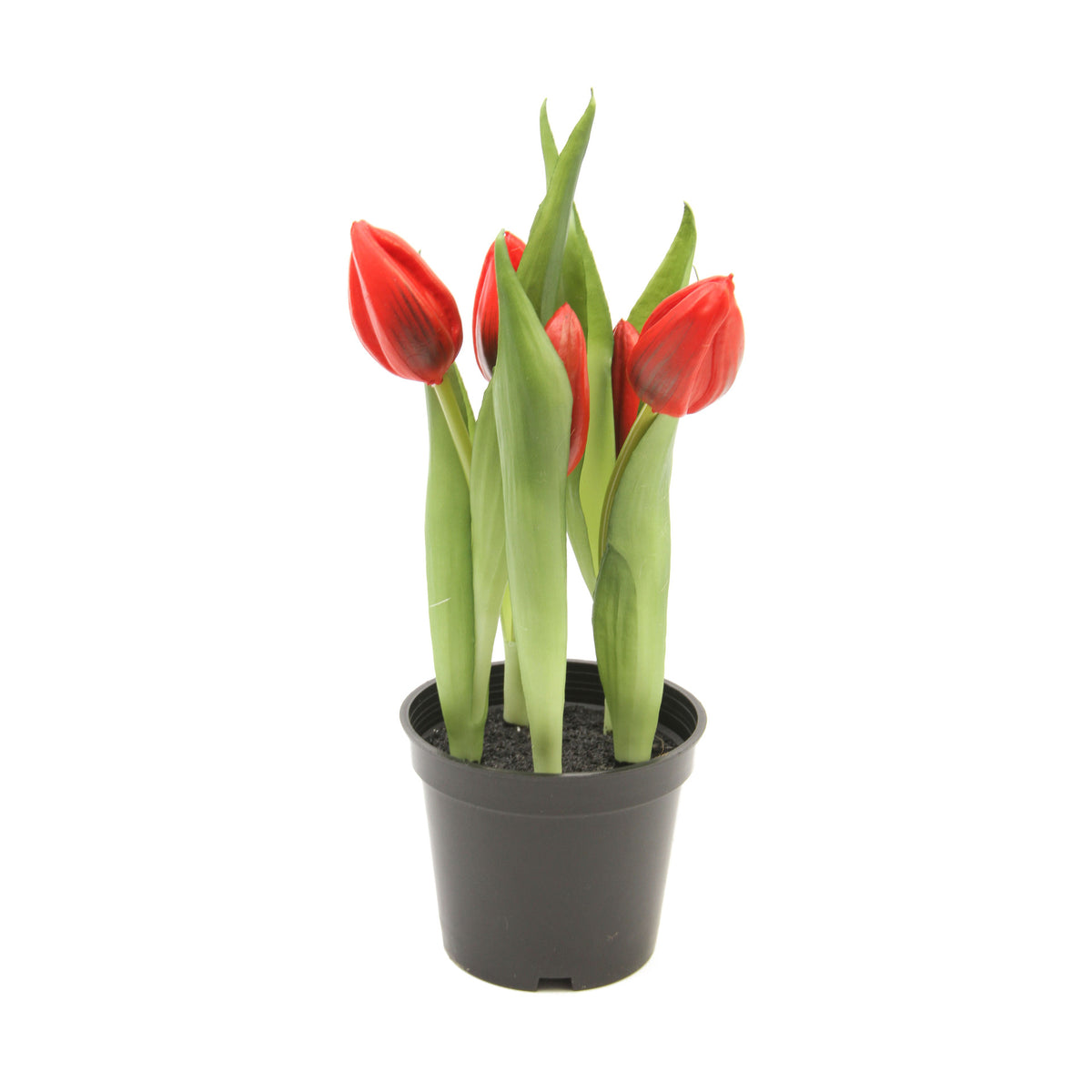 Tekotulppaanin kimppu, 25 cm