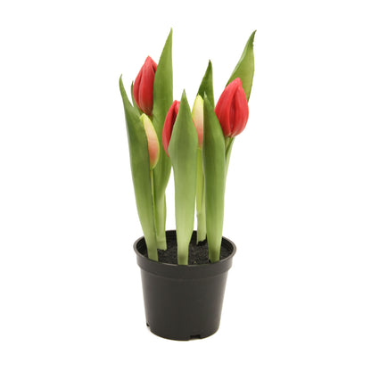 Tekotulppaanin kimppu, 25 cm