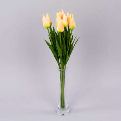 Tekotulppaanin kukkavarsi, 12 kpl