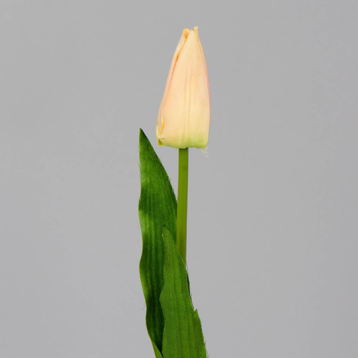 Tekotulppaanin kukkavarsi, 12 kpl