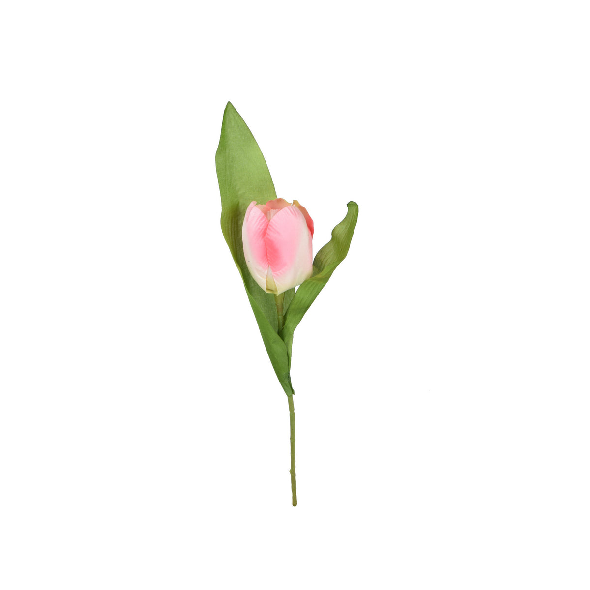 Tekotulppaanin kukkavarsi, 31 cm