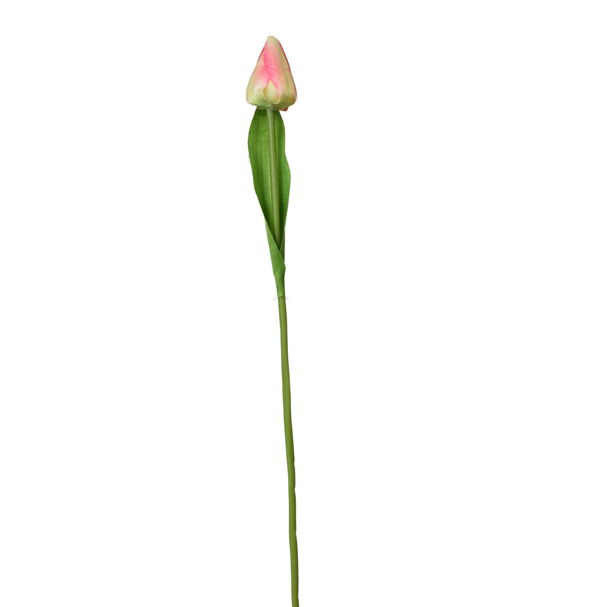 Tekotulppaanin kukkavarsi, 44 cm