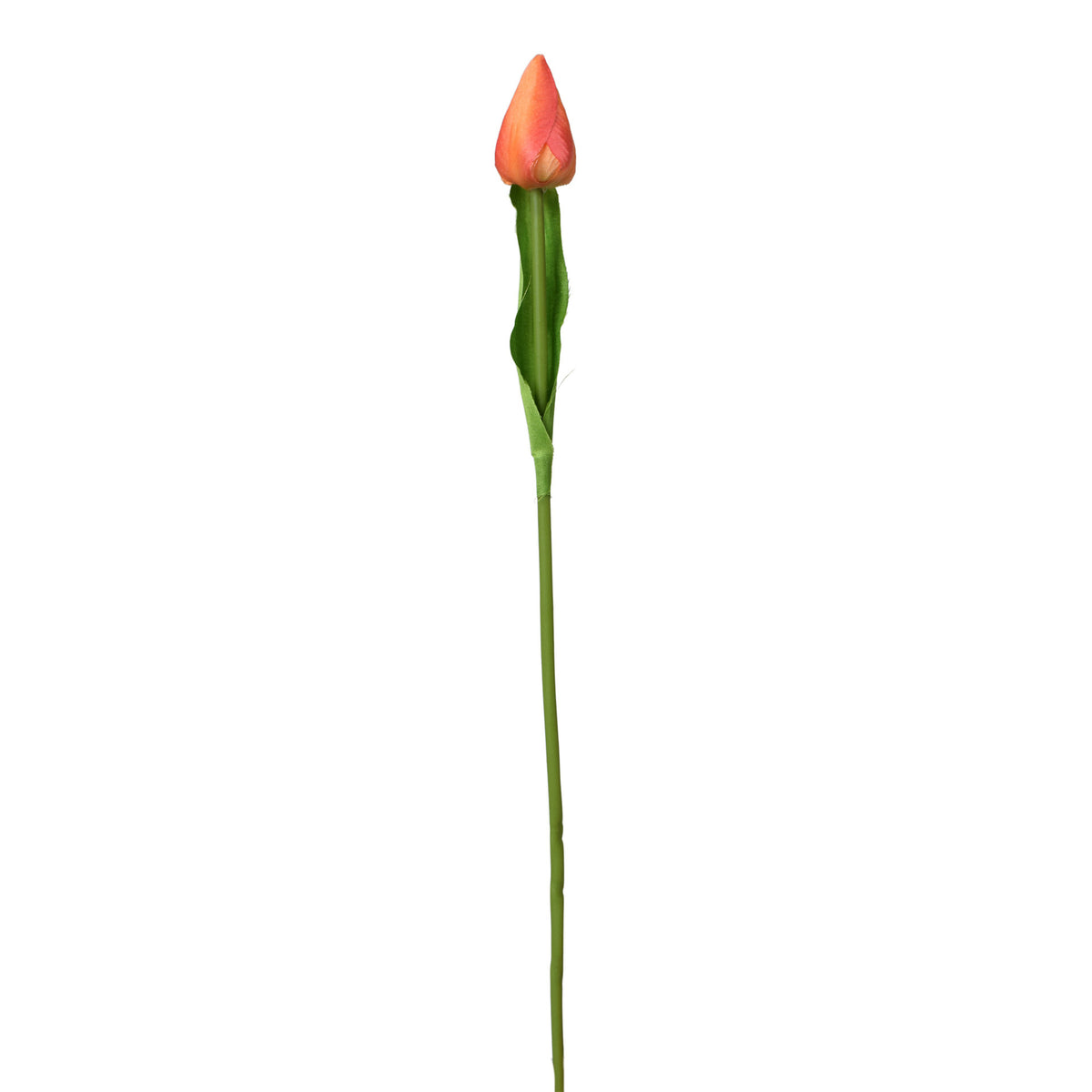 Tekotulppaanin kukkavarsi, 44 cm