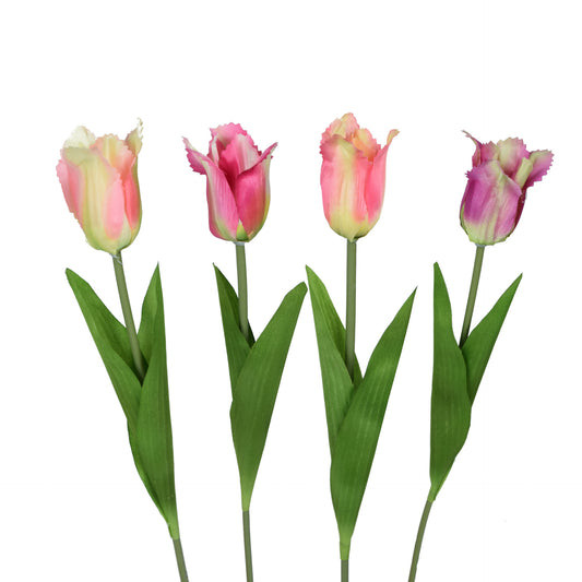 Tekotulppaanin kukkavarsi, 53 cm