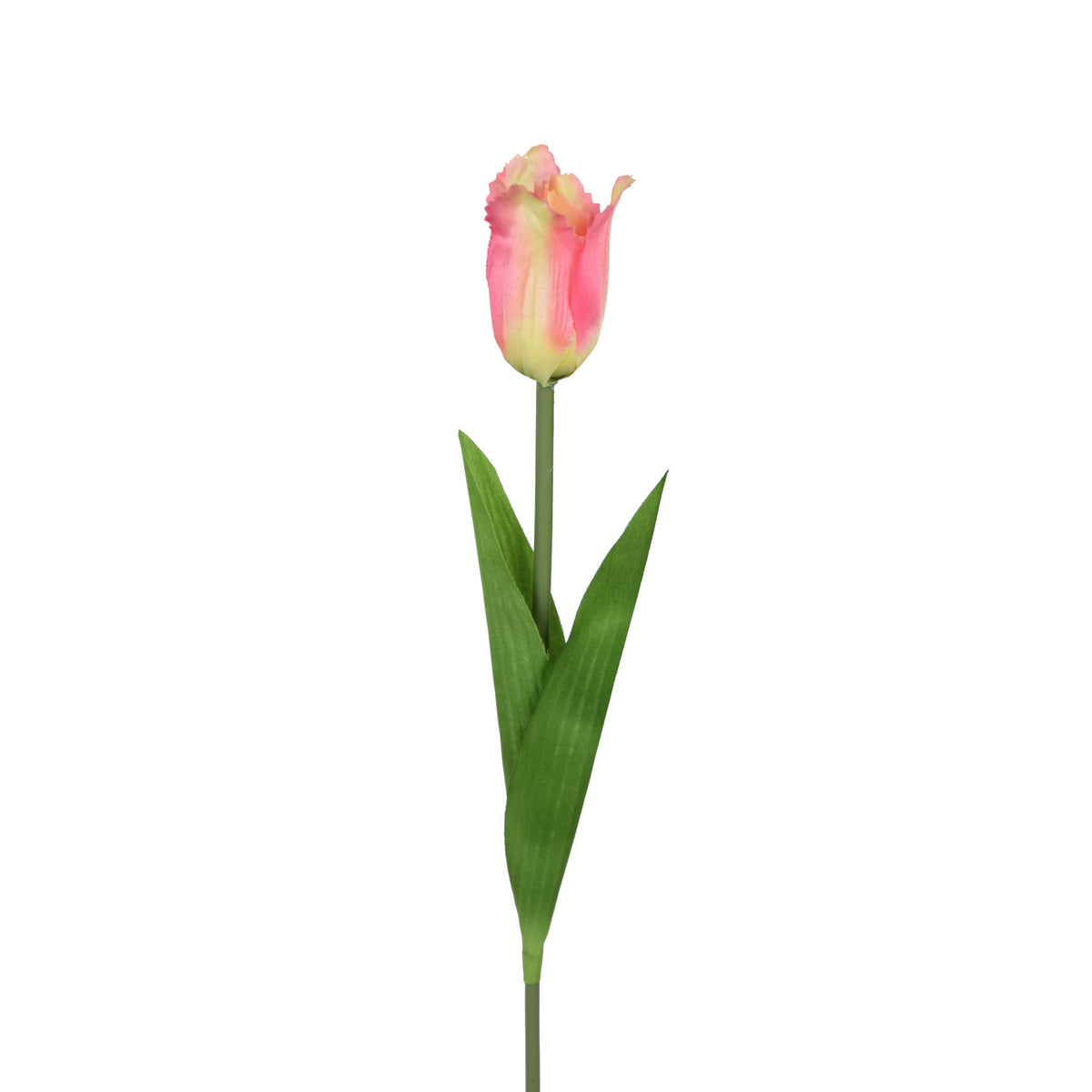 Tekotulppaanin kukkavarsi, 53 cm