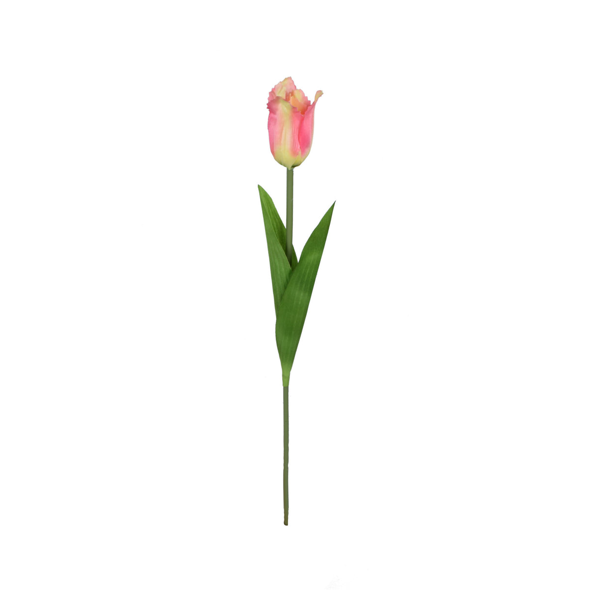 Tekotulppaanin kukkavarsi, 53 cm
