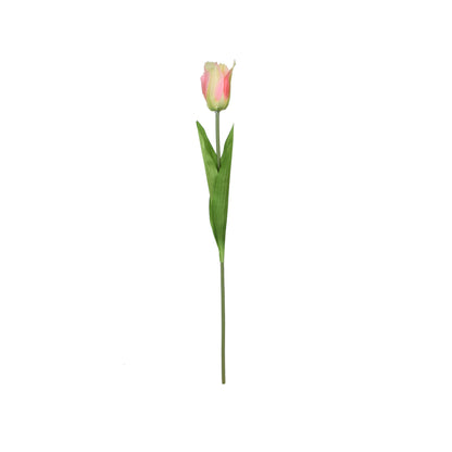 Tekotulppaanin kukkavarsi, 53 cm