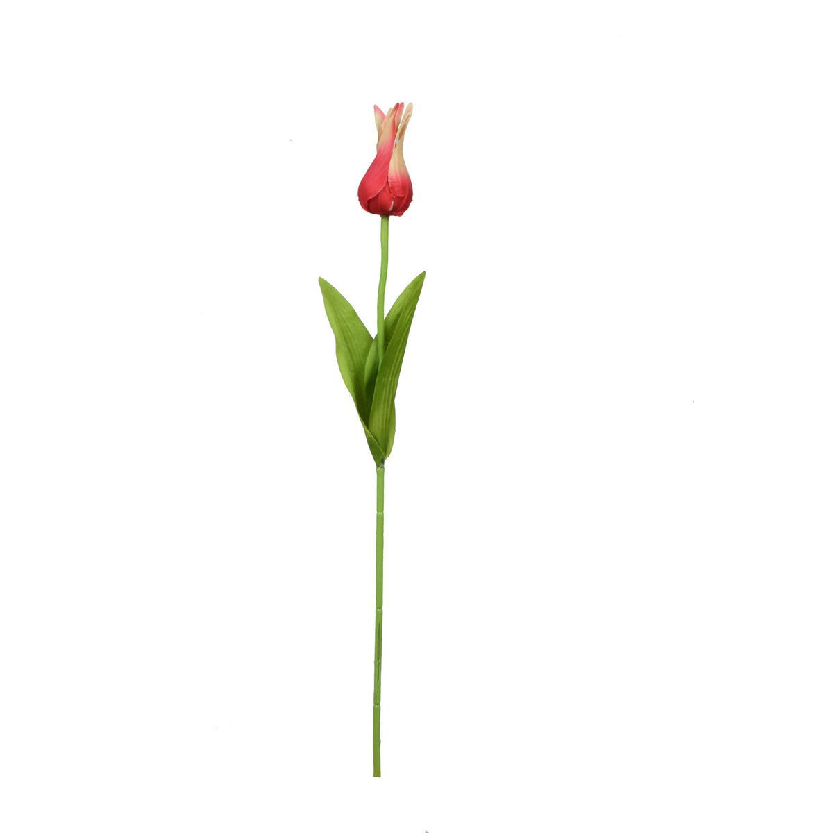 Tekotulppaanin kukkavarsi, 59 cm