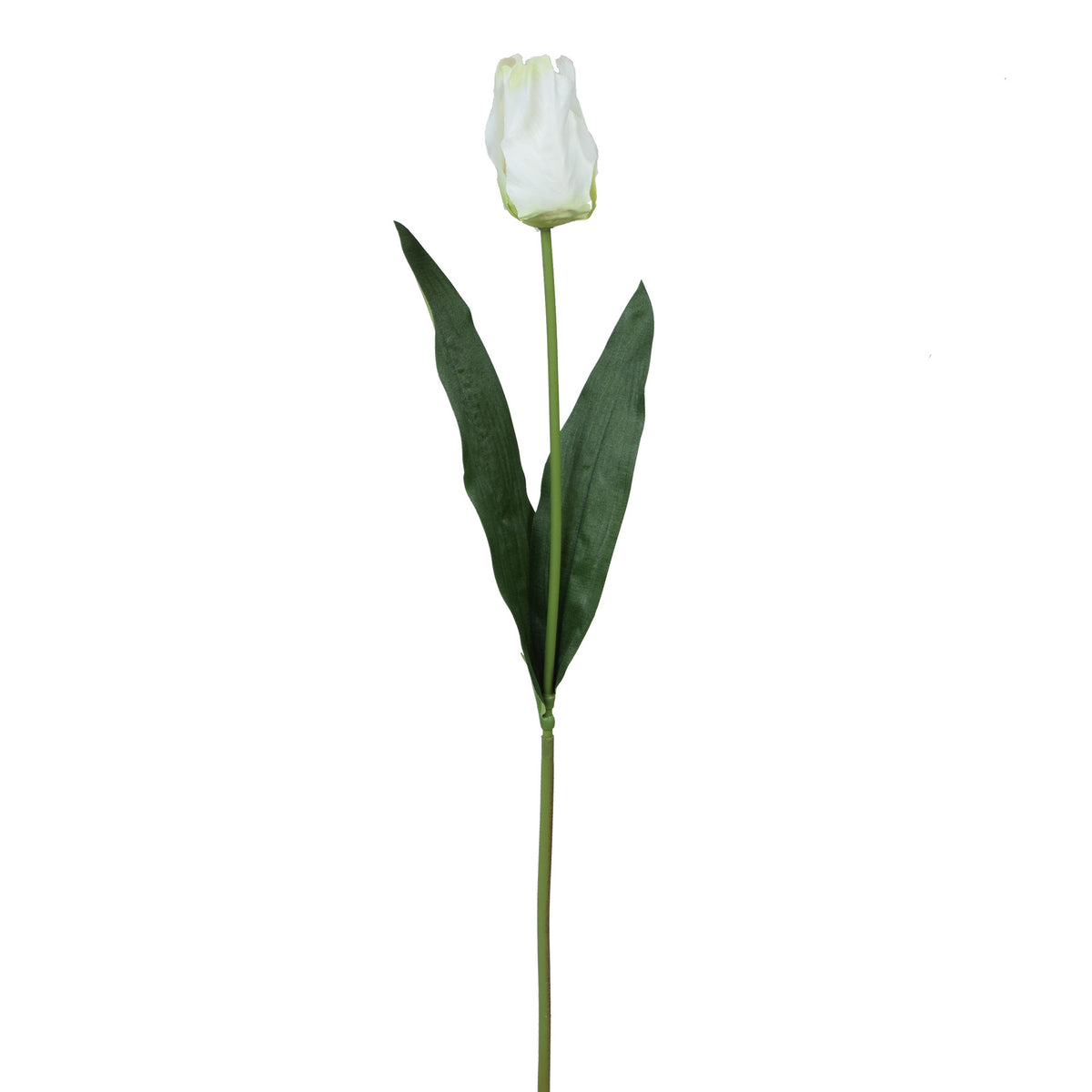 Tekotulppaanin kukkavarsi, 66 cm