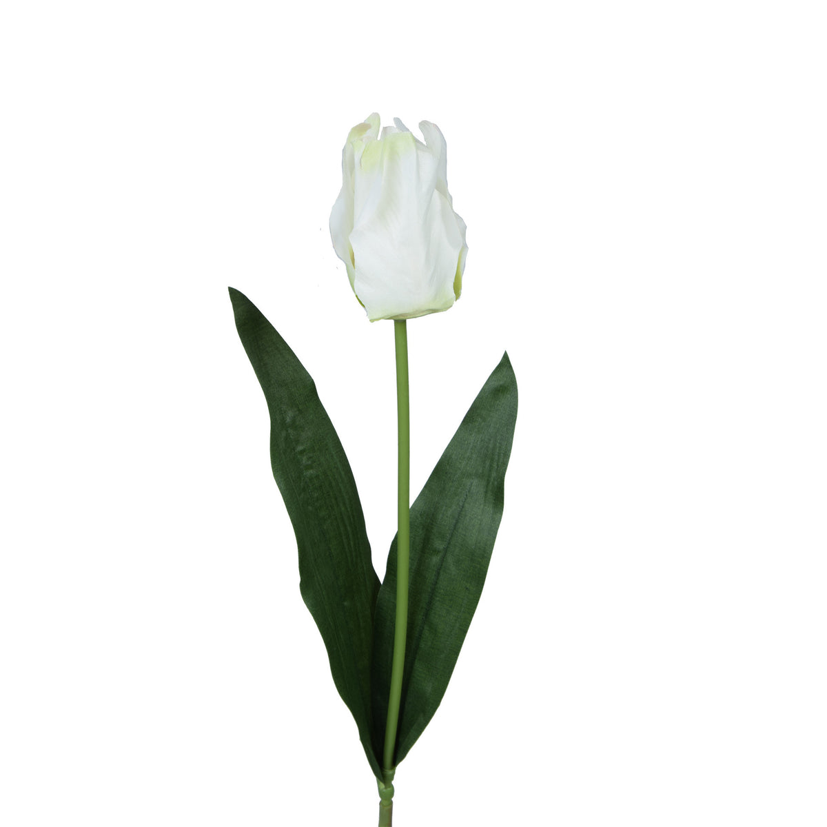 Tekotulppaanin kukkavarsi, 66 cm