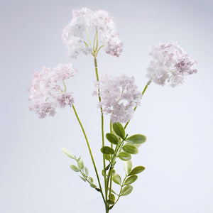 Helelilla
