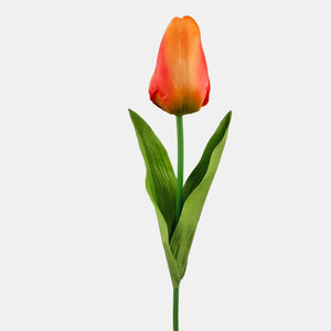 Oranž