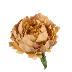 Tumma Beige