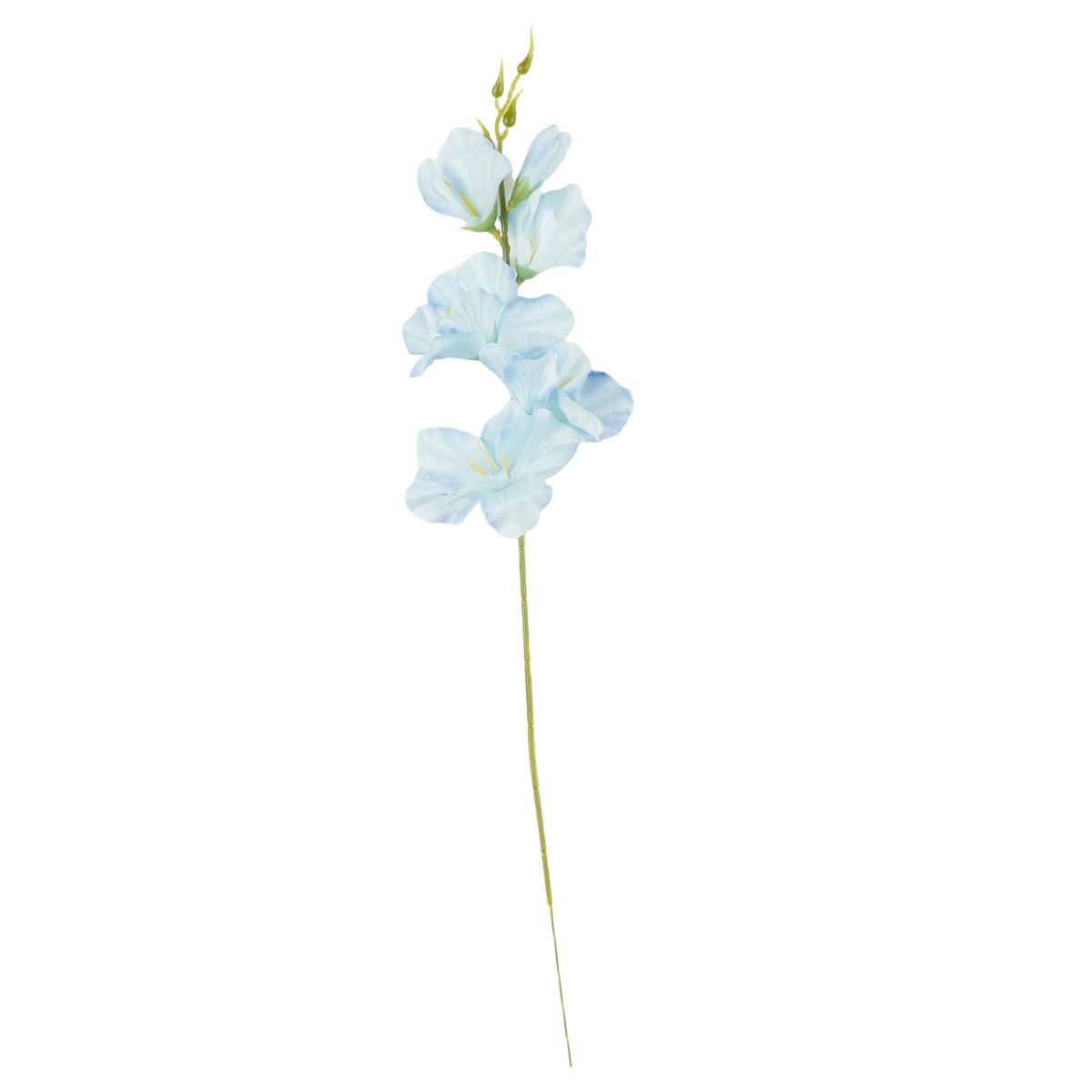 Tumma sininen gladiolus – tekokukka
