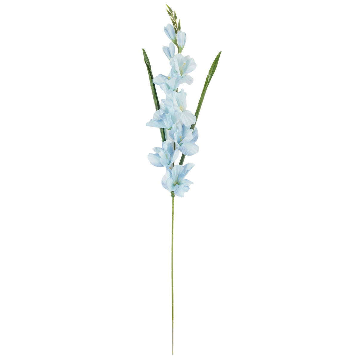 Tumma sininen gladiolus – tekokukka