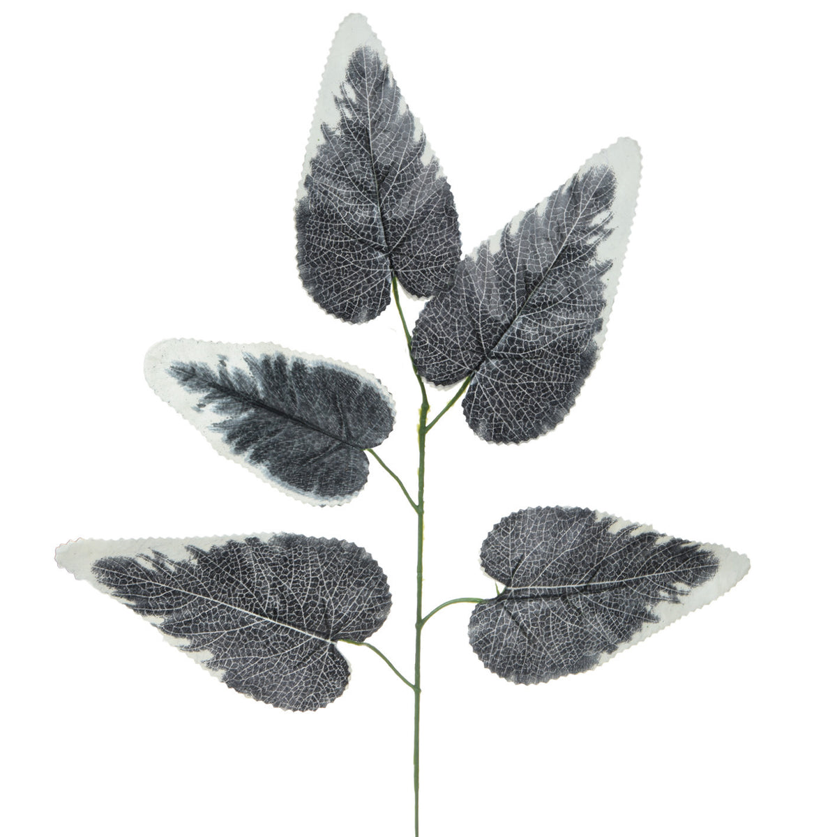 Tumma viininpunainen kultaköynnös – koristeoksa, 52 cm