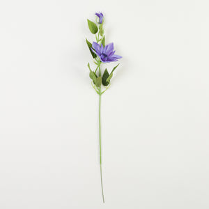 Tumma Violetti