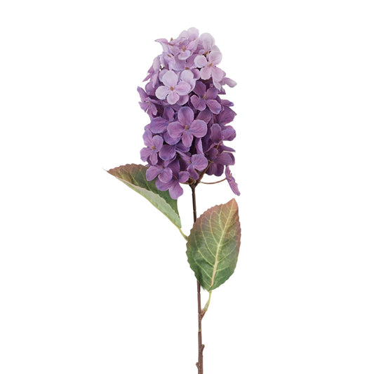 Tumma violetti tekohortensian kukkavarsi