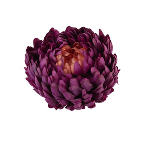 Tumma Violetti