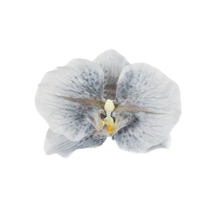 Vaalea Harmaa
