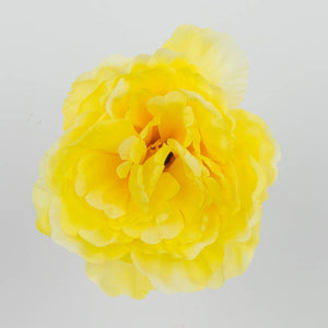 Vaalea Keltainen