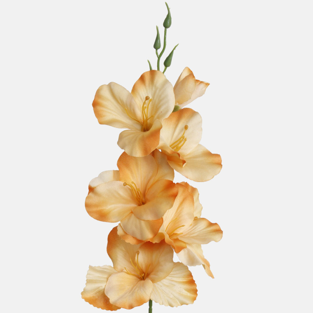 Vaalea oranssi gladiolus – tekokukka, satiini, 55 cm