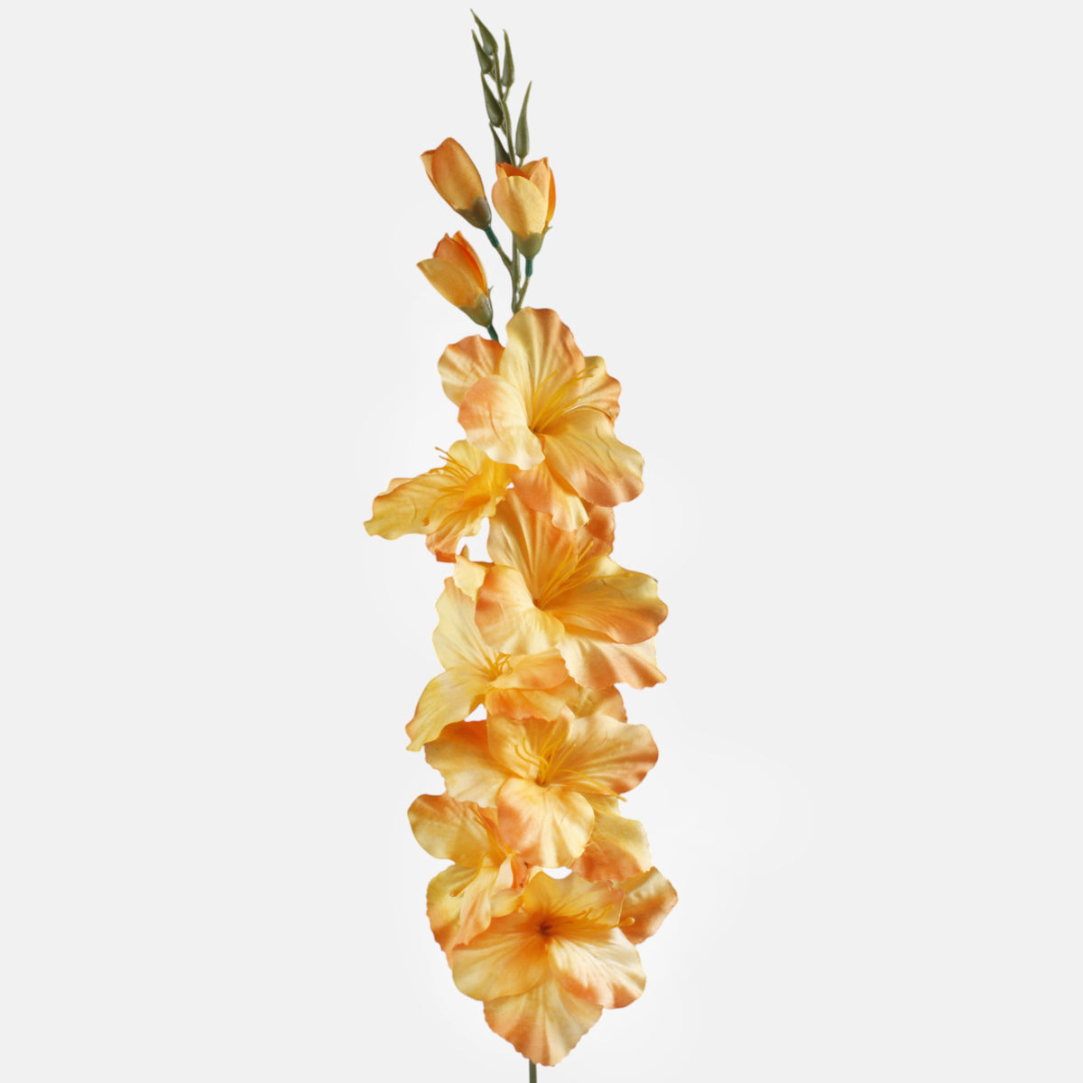 Vaalea oranssi gladiolus – tekokukka, satiini, 80 cm