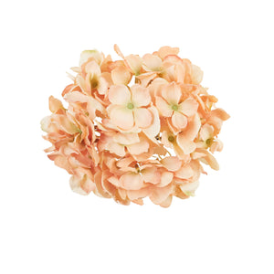 Vaalea Oranssi