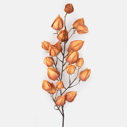 Vaalea ruskea tekokukka, 98 cm