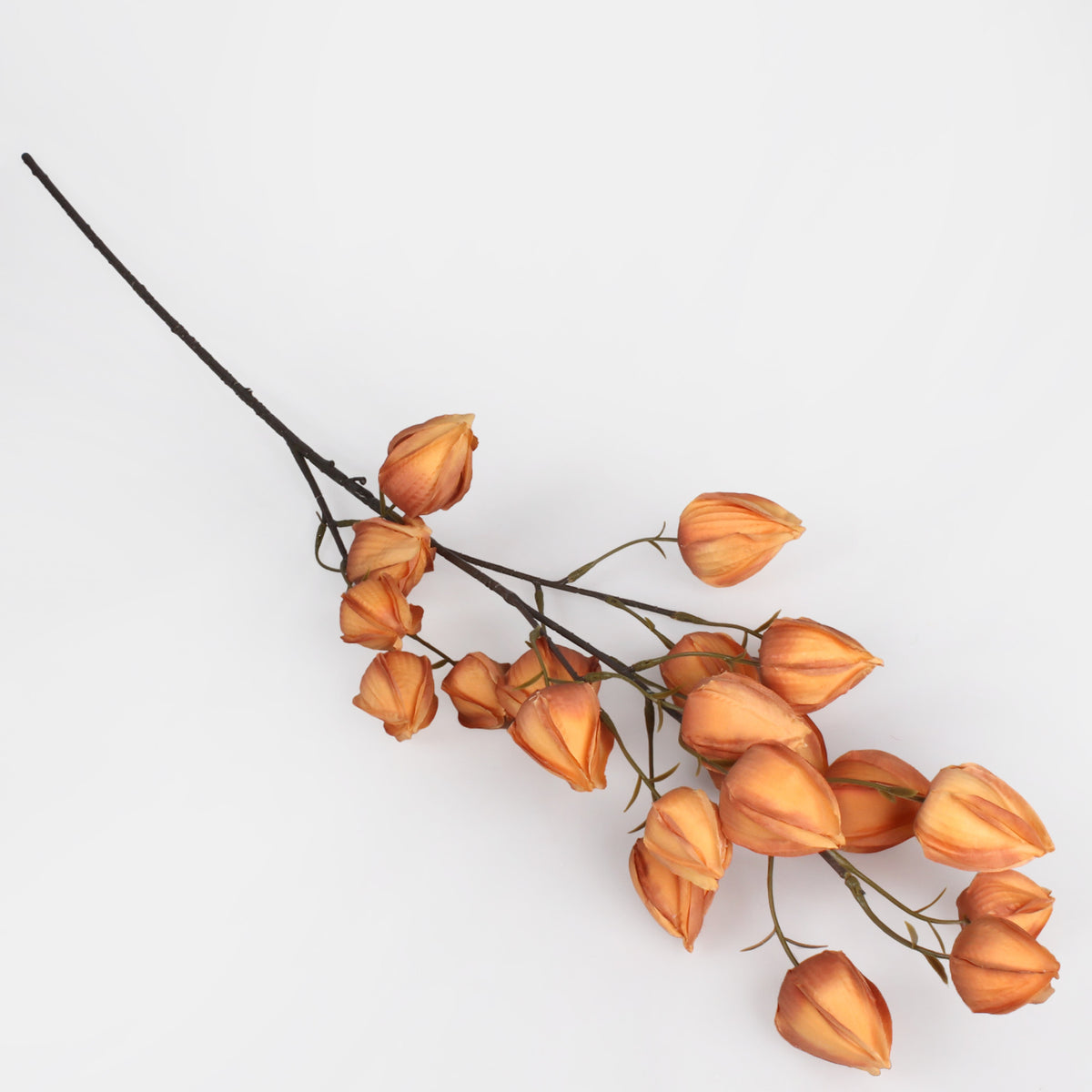 Vaalea ruskea tekokukka, 98 cm