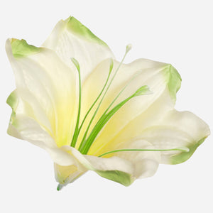 Vaalea Vihreä