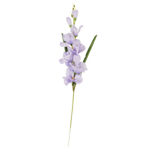 Vaalea Violetti