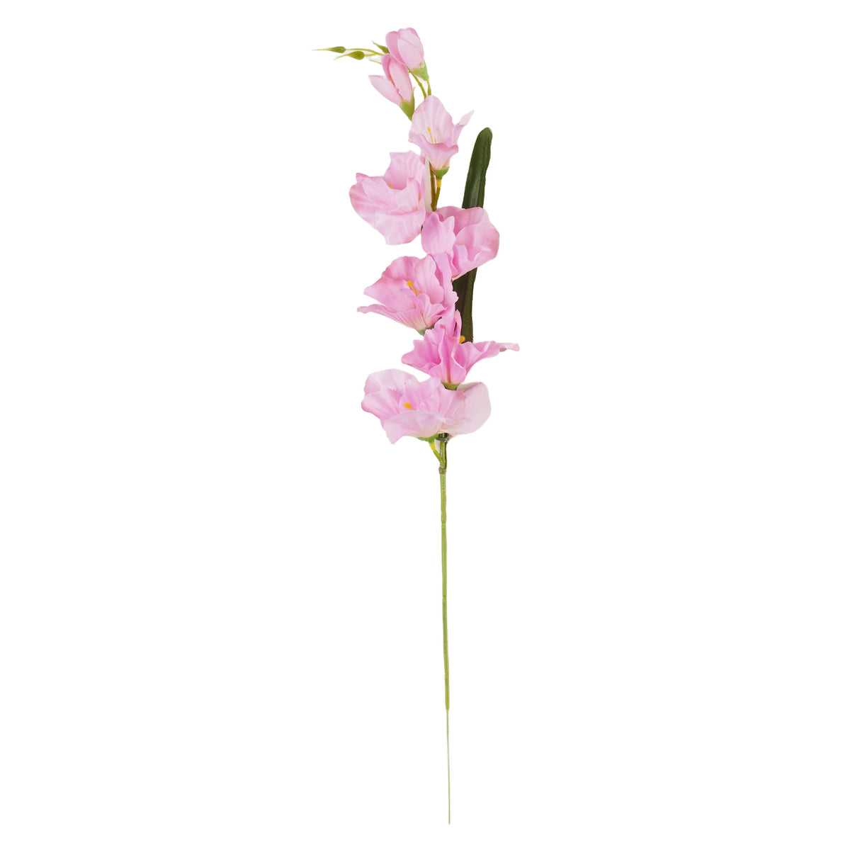 Vaalea violetti gladiolus – tekokukka