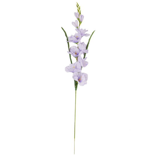 Vaalea violetti gladiolus – tekokukka