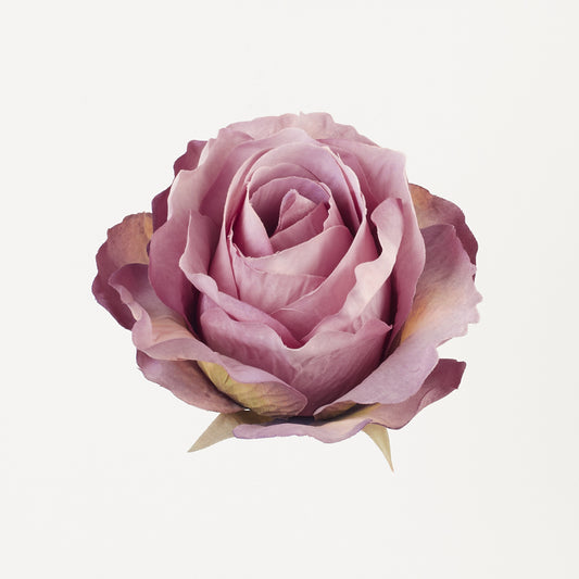 Vaalea/violetti/vihreä tekoruusun kukkapää, 7 cm