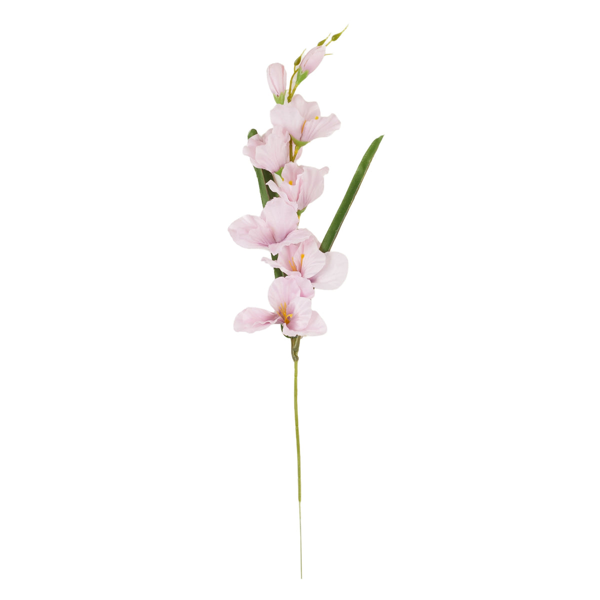 Vaaleanpunainen gladiolus – tekokukka