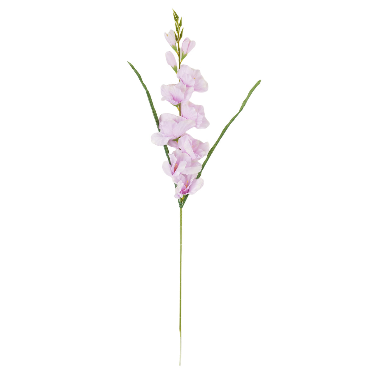 Vaaleanpunainen gladiolus – tekokukka