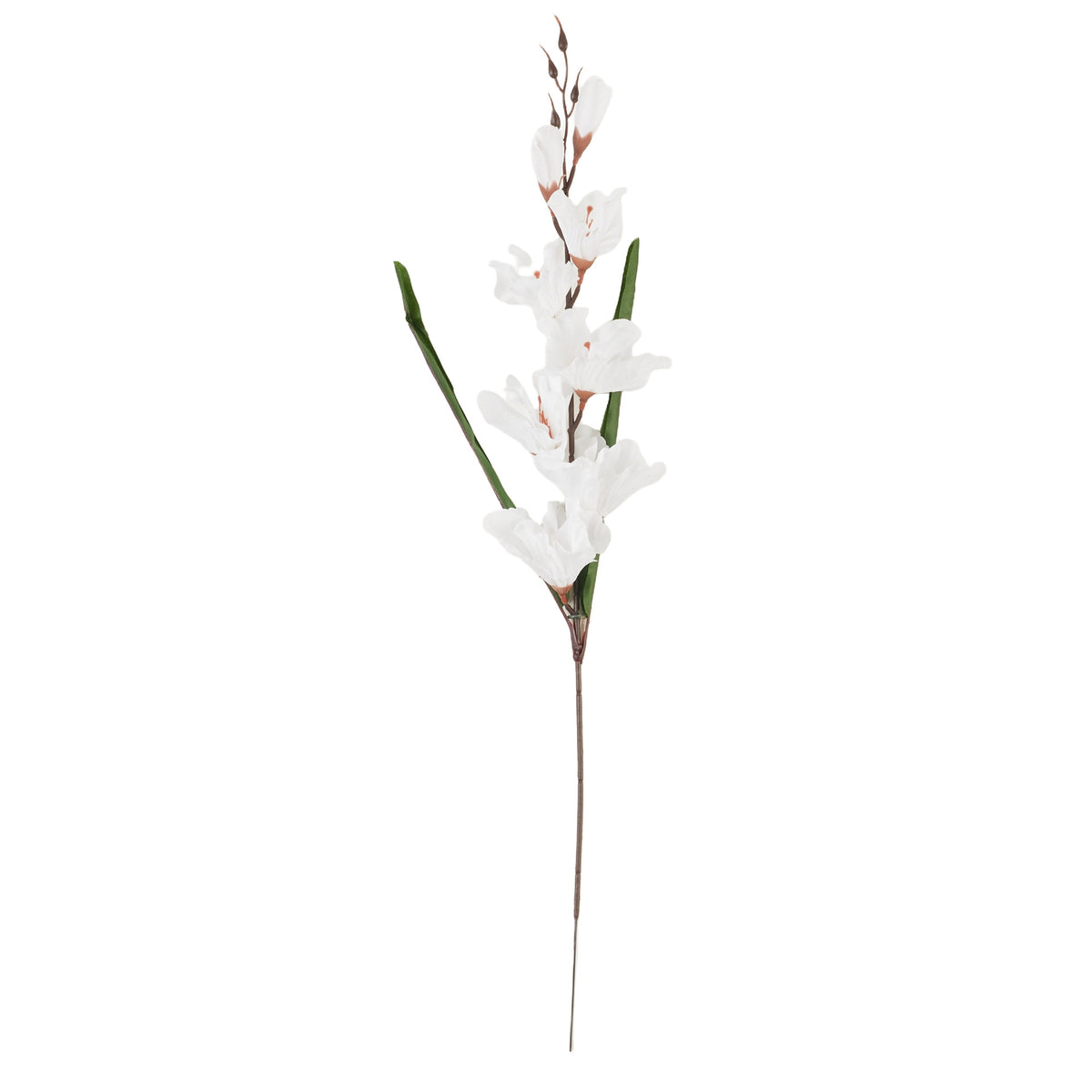 Valkoinen gladiolus – tekokukka