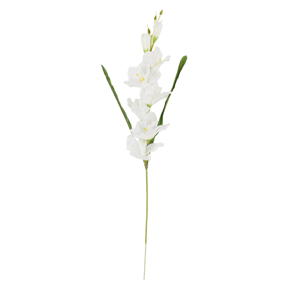 Valkoinen gladiolus – tekokukka