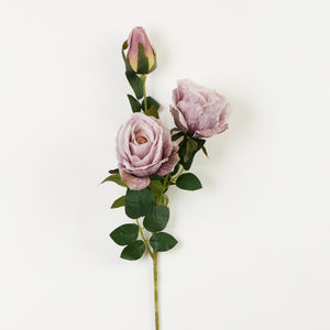 Valkoinen/Malva
