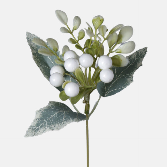 Valkoinen puksipensas – koristeoksa, 40 cm