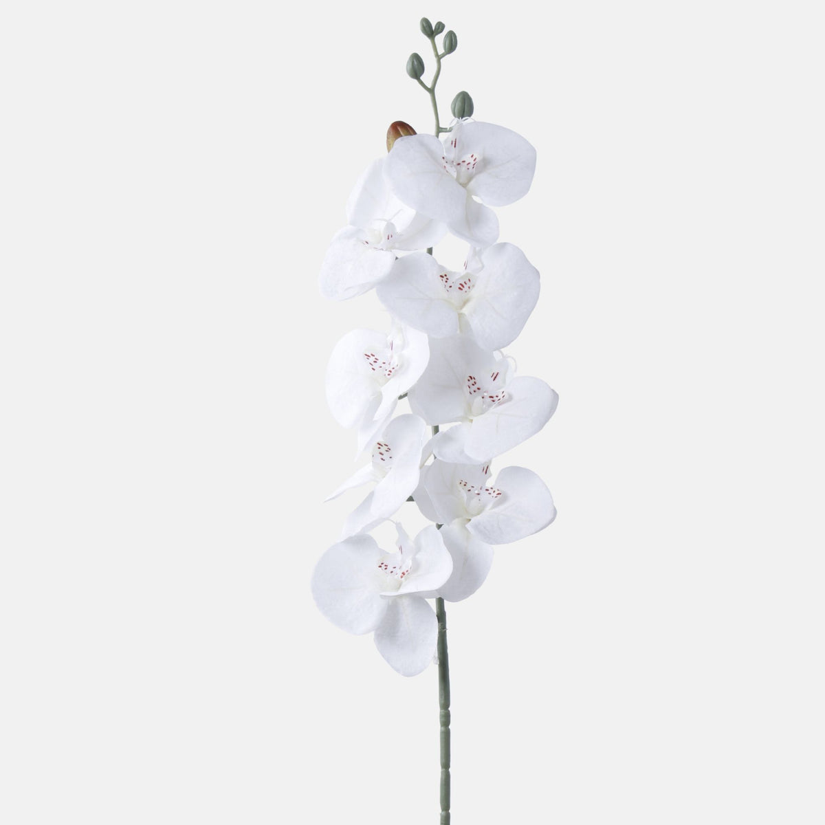 Valkoinen tekoorkidean kukkavarsi, 91 cm