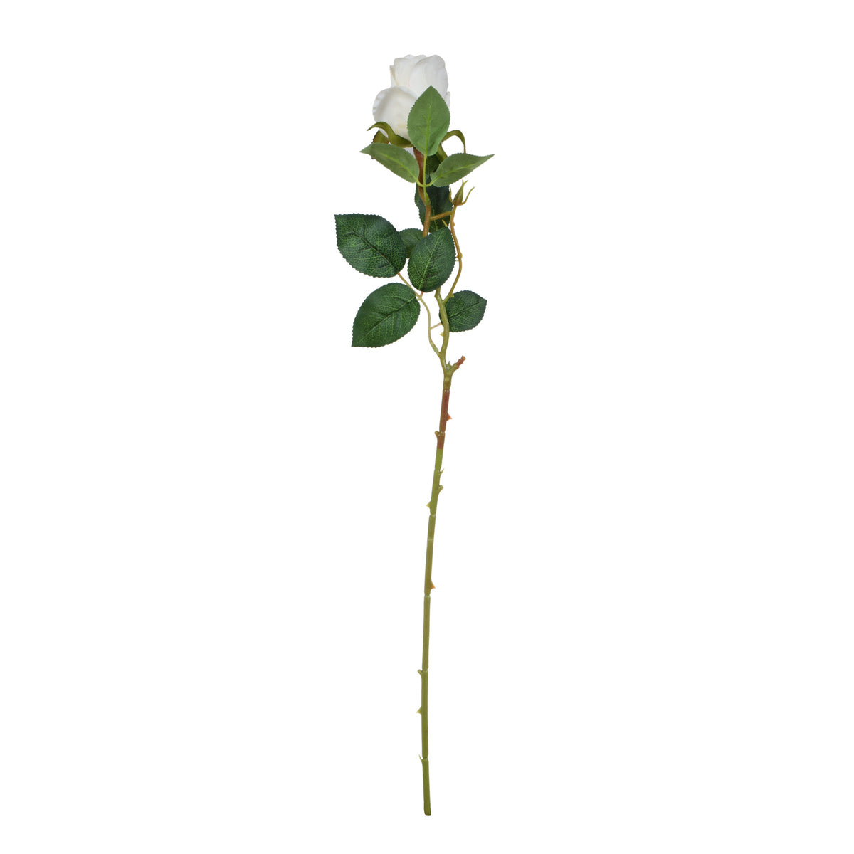 Valkoinen tekoruusun kukkavarsi, 67 cm