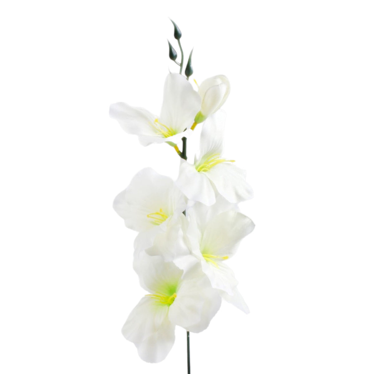 Valkoinen/vaalea/vihreä gladiolus – tekokukka, 55 cm