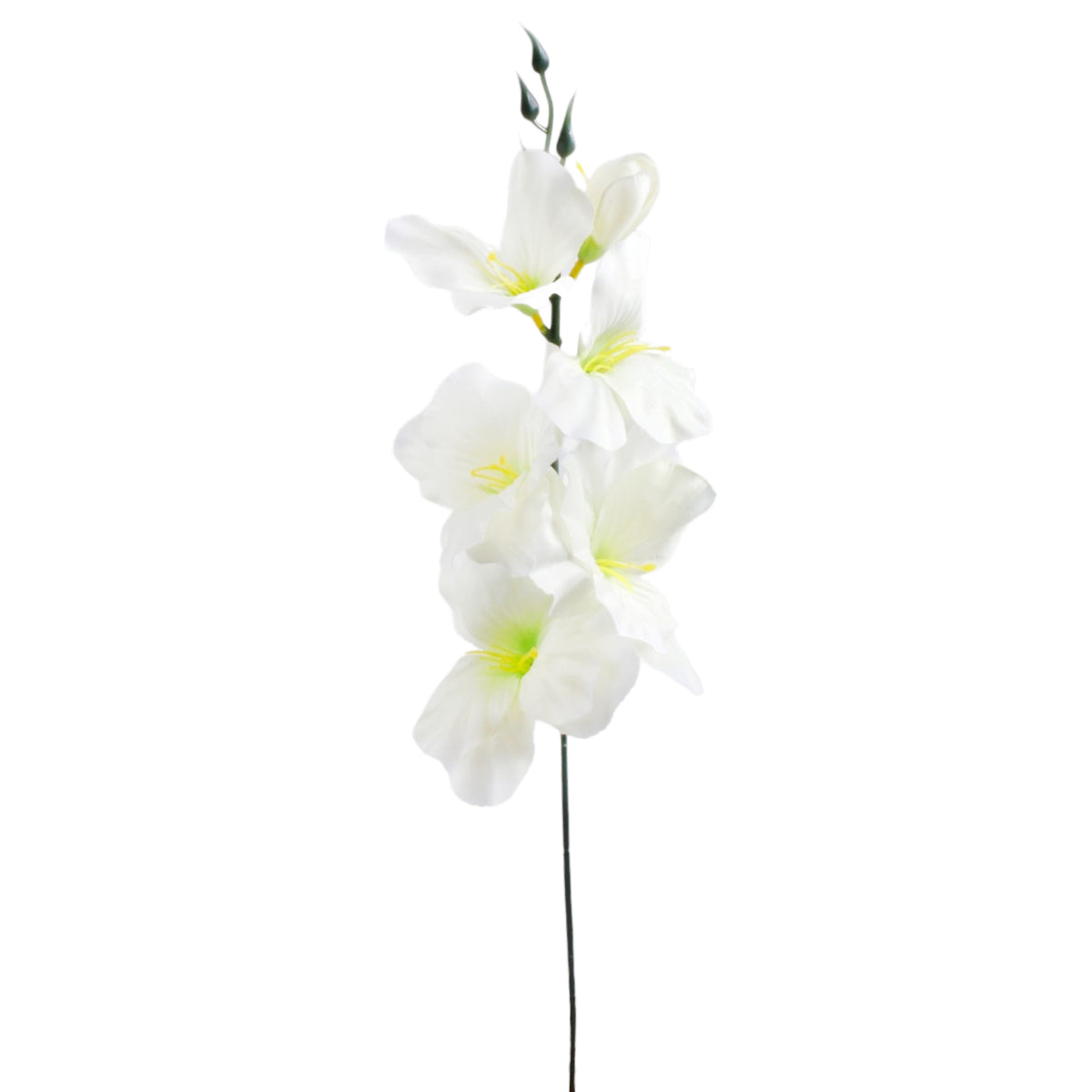 Valkoinen/vaalea/vihreä gladiolus – tekokukka, 55 cm