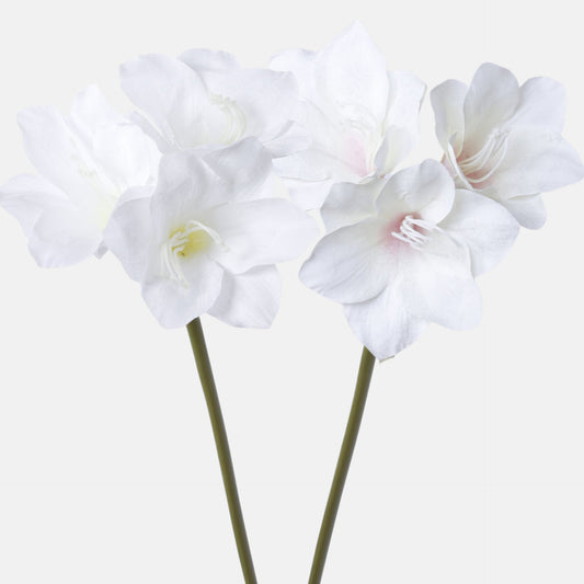 Värilajitelma amaryllis – tekokukka, 68 cm