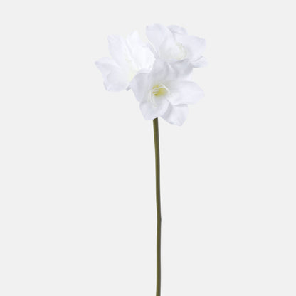 Värilajitelma amaryllis – tekokukka, 68 cm