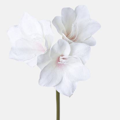 Värilajitelma amaryllis – tekokukka, 68 cm