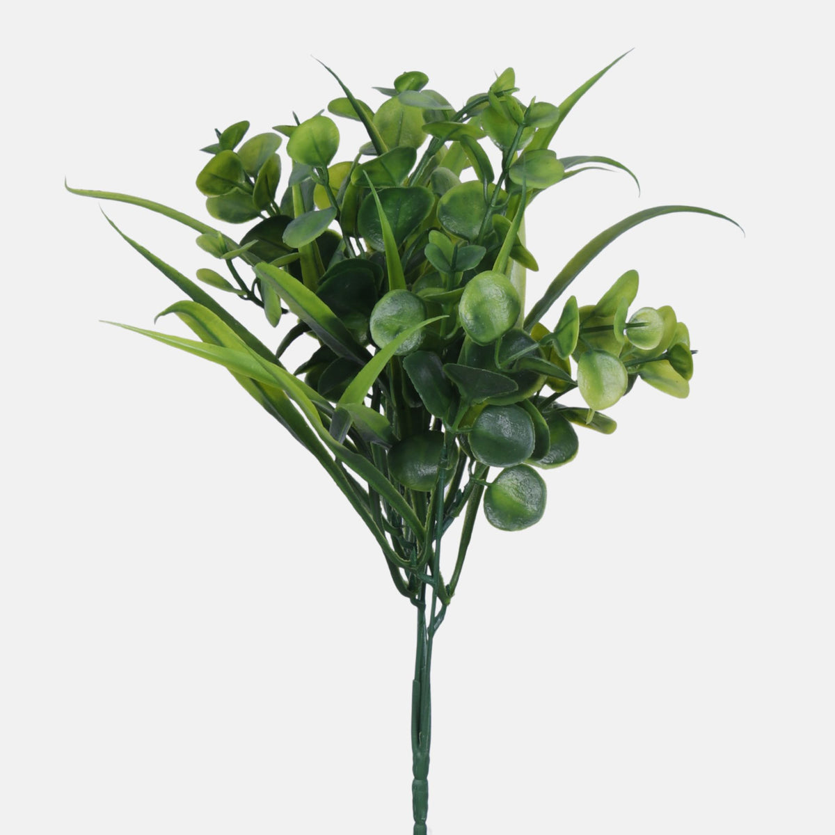 Värilajitelma eukalyptus – koristeoksa, 32 cm