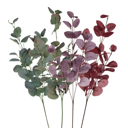 Värilajitelma eukalyptus – koristeoksa, 70 cm